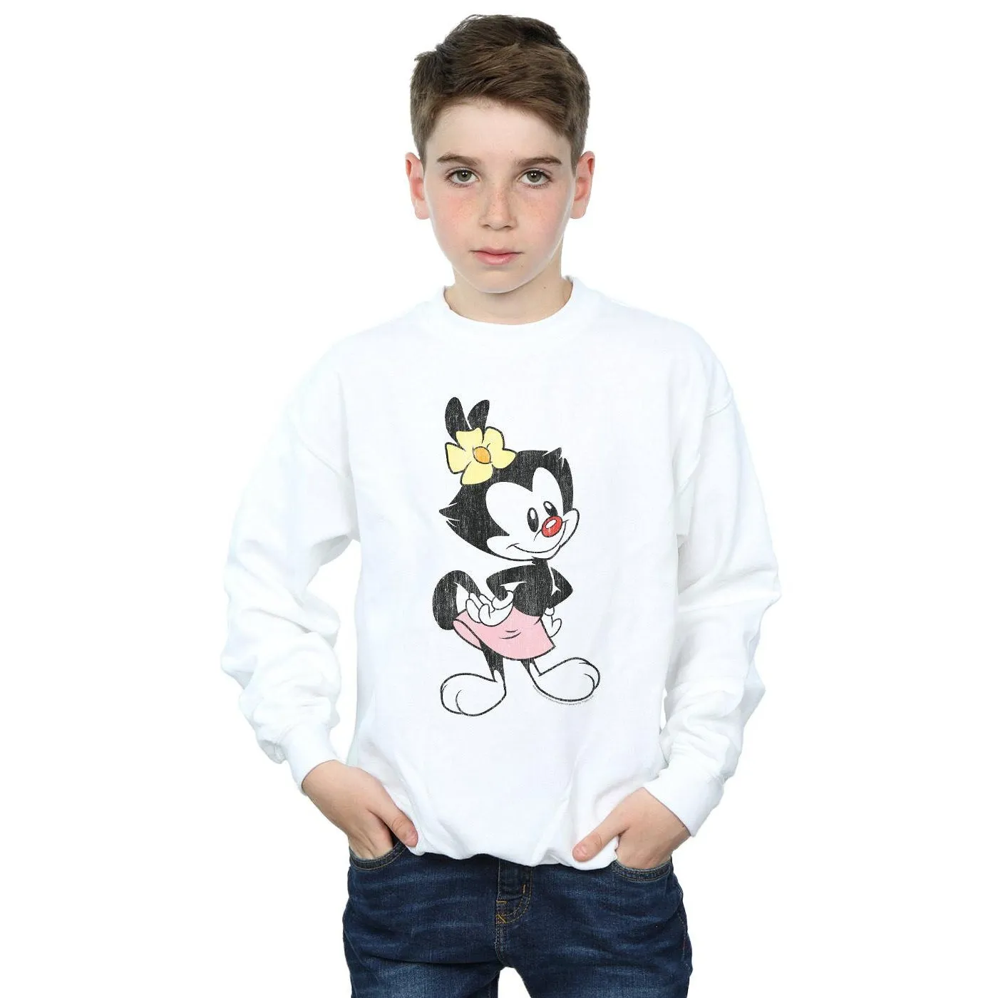 Animaniacs Boys Dot Classic Pose Sweatshirt