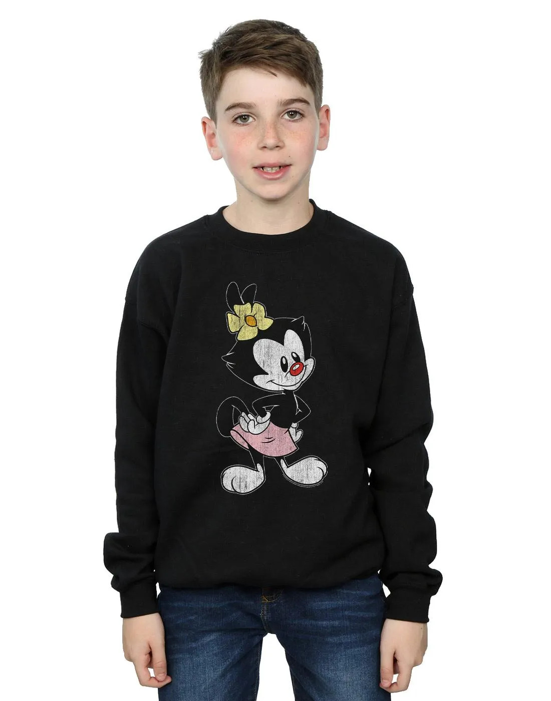 Animaniacs Boys Dot Classic Pose Sweatshirt