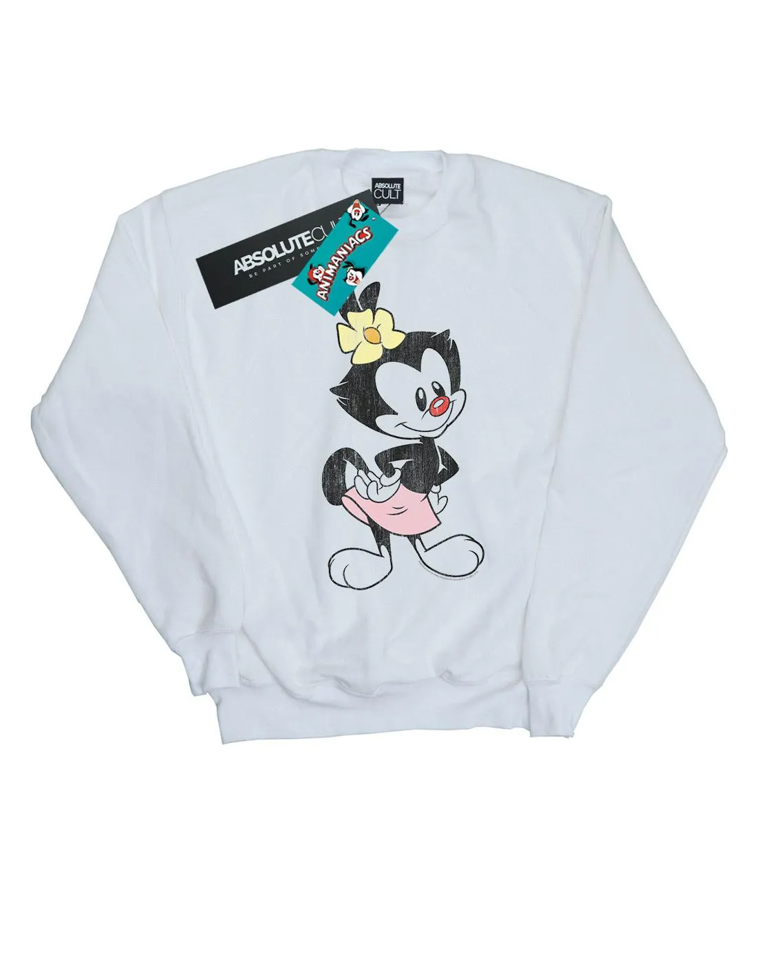 Animaniacs Boys Dot Classic Pose Sweatshirt