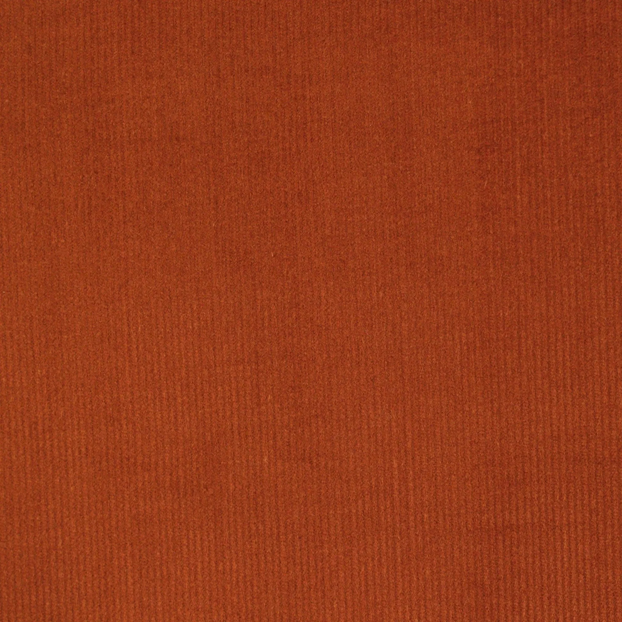 BCI Cotton Baby Corduroy - 12 colors available
