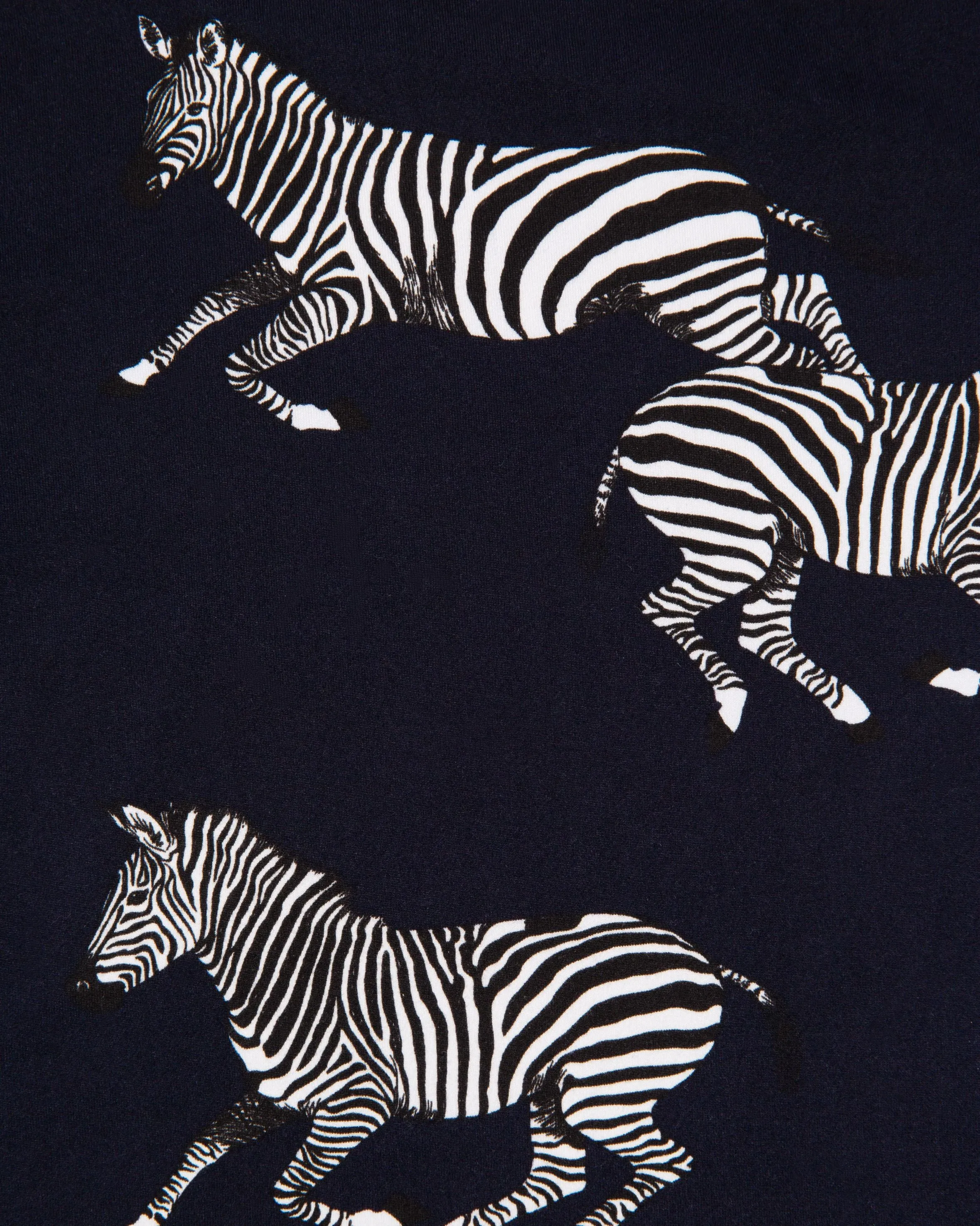 Kids Zebra Print Long Pyjama Set